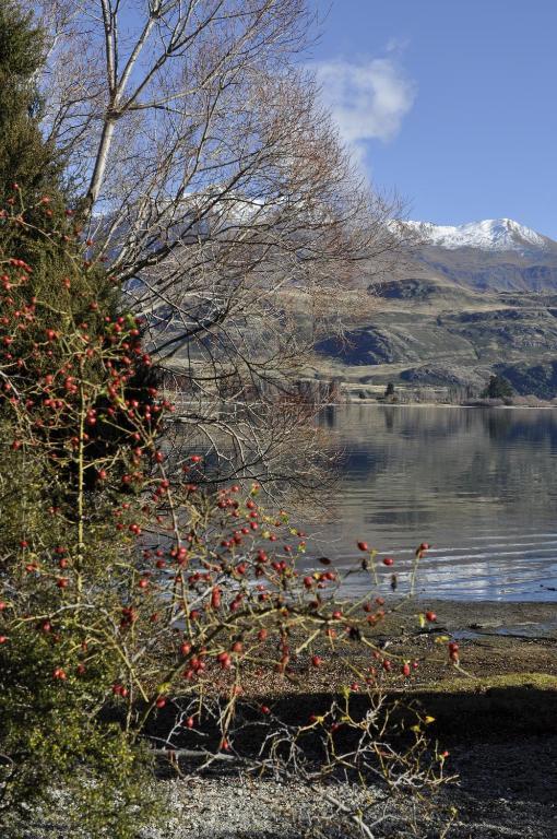 Lansdown Villa Apartments Wanaka Esterno foto